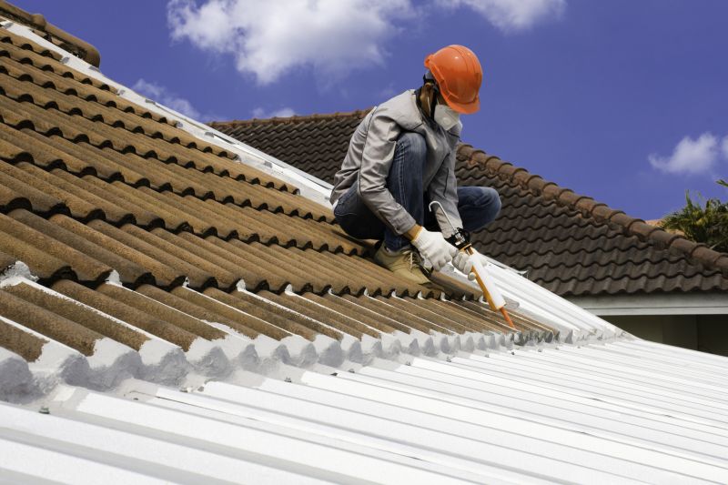 Roof Coating Solutions For Carlsbad, Nm Properties